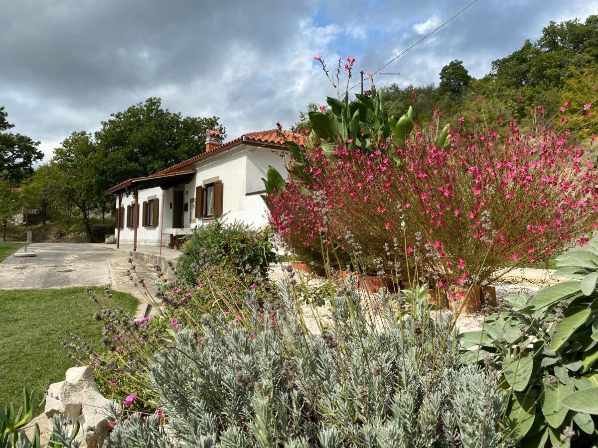 Istrian House In The Heart Of Tupljak - Smilovic Potpićan Exterior foto